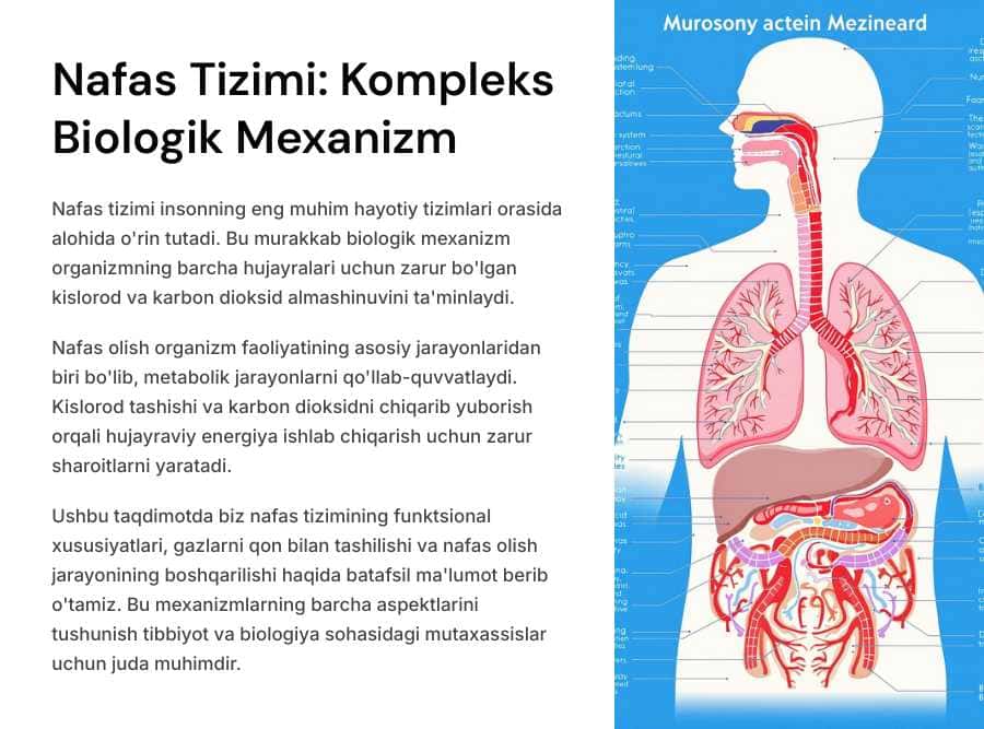 Nafas tizimining funkstional xususiyatlari. Gazlarni qon bilan tashilishi. Nafasning boshqarilishi.