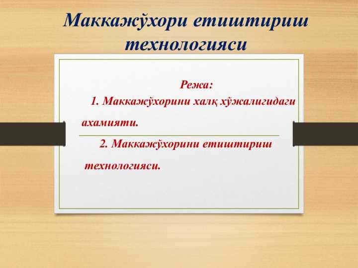 Маккажўхори етиштириш технологияси