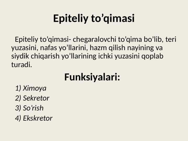 epiteliy to'qimasi