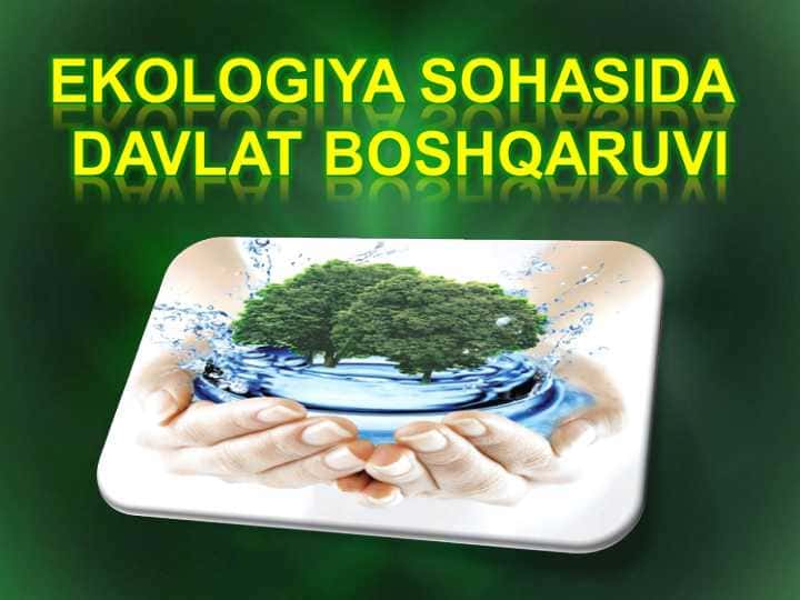 Ekologiya sohasida