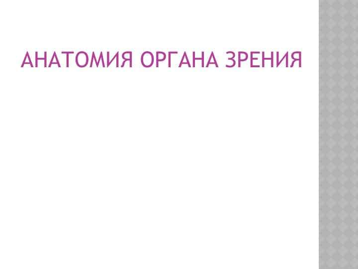 АНАТОМИЯ ОРГАНА ЗРЕНИЯ