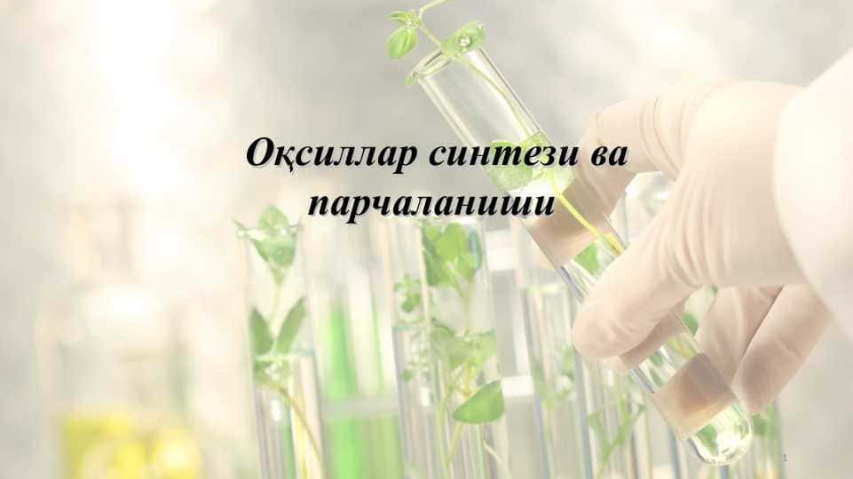 Оқсиллар синтези ва парчаланиши
