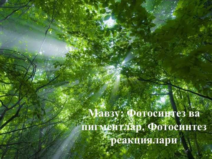 Фотосинтез ва пигментлар. Фотосинтез реакциялари