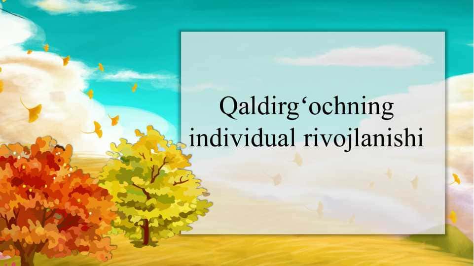 Qaldirgʻochning individual rivojlanishi