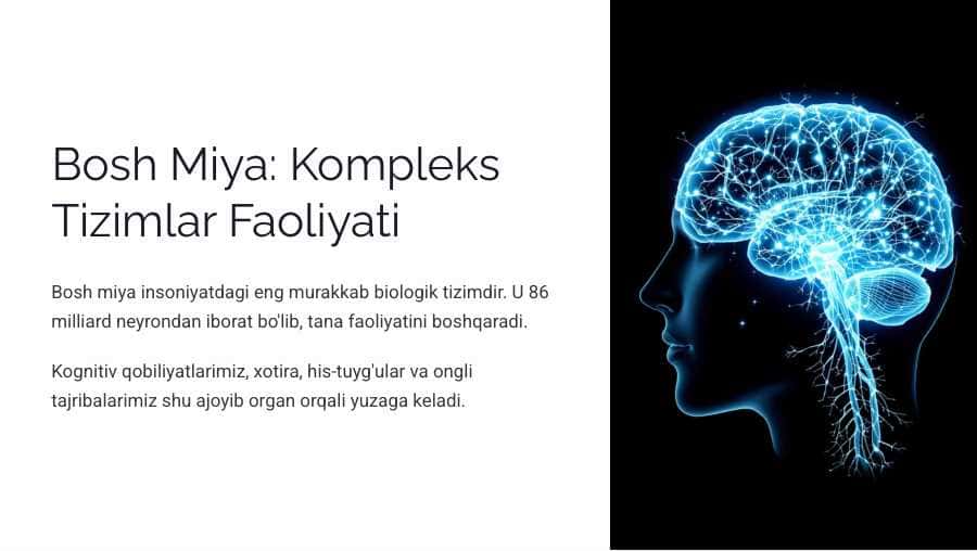 Bosh miya turli bo`limlari faoliyatini o`rganish. Bosh miya yarim sharlar po`stlog`ining fiziologiyasi. Bazal yadrolar oraliq miya va miyacha fiziologiyasi.