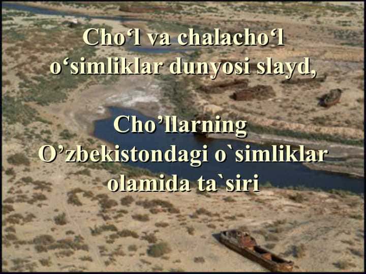 Cho'l va chalacho'l o'simliklar dunyosi slayd