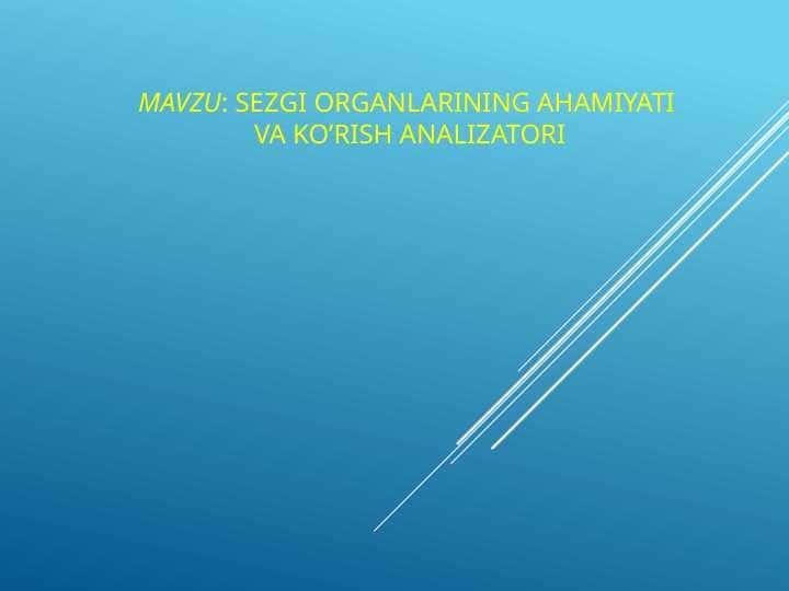 Sezgi organlarining ahamiyati va ko’rish analizatori