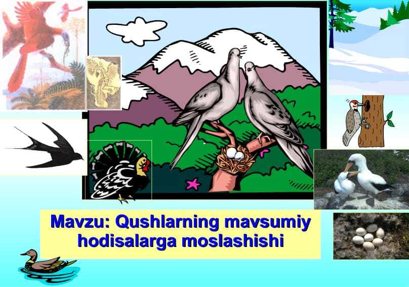 Qushlarning mavsumiy hodisalarga moslashishi