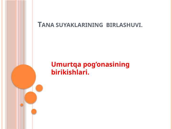 Tana suyaklarining birlashuvi. Umurtqa pog’onasining birikishlari.