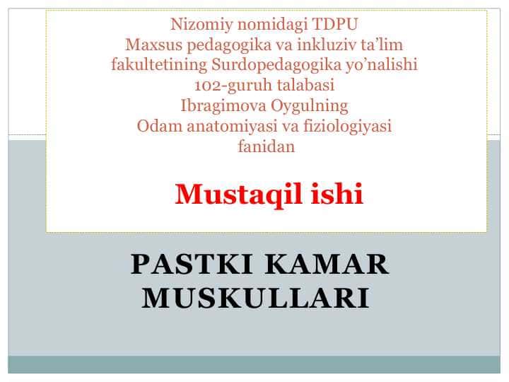 Pastki kamar muskullari.pptx