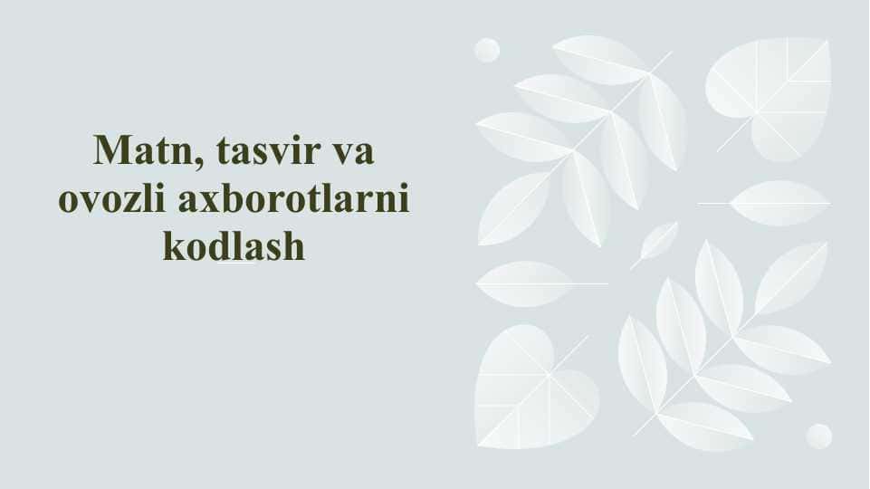 Matn, tasvir va ovozli axborotlarni kodlash