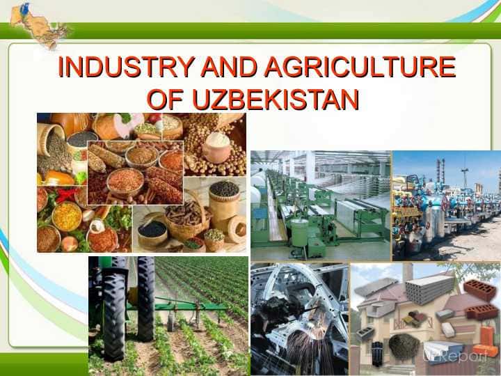 INDUSTRY AND AGRICULTURE OF UZBEKISTAN