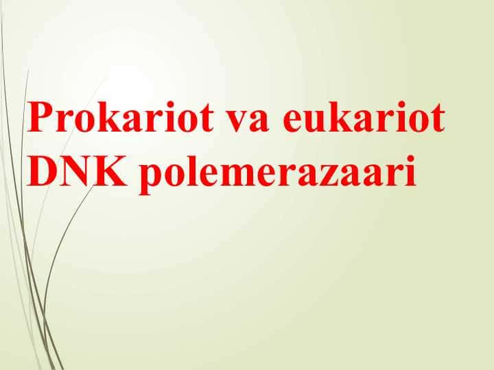 Prokariot va eukariot DNK polemerazaari