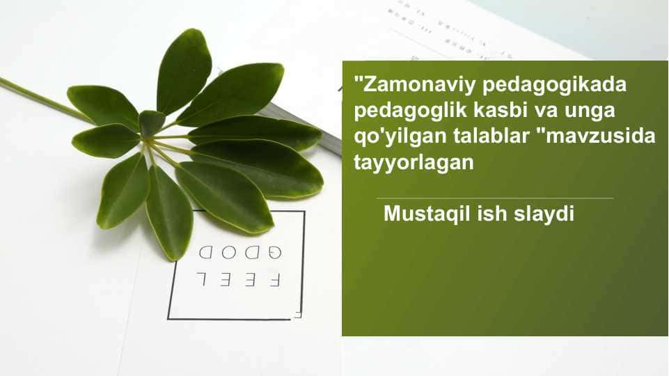 Zamonaviy pedagogikada pedagoglik kasbi va unga qo'yilgan talablar