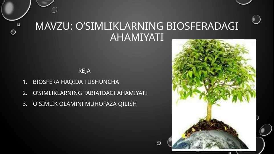 O’Simliklarning biosferadagi ahamiyati