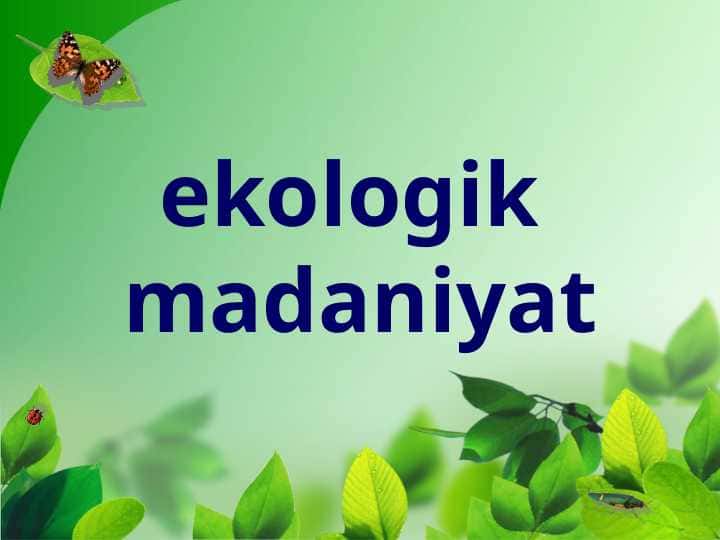 ekologik madaniyat