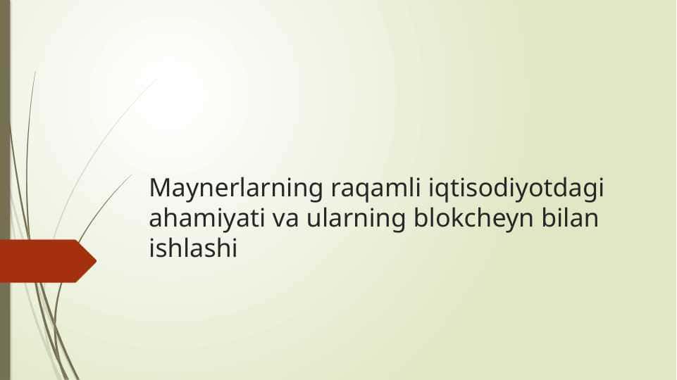 Maynerlarning raqamli iqtisodiyotdagi ahamiyati va ularning blokcheyn bilan ishlashi