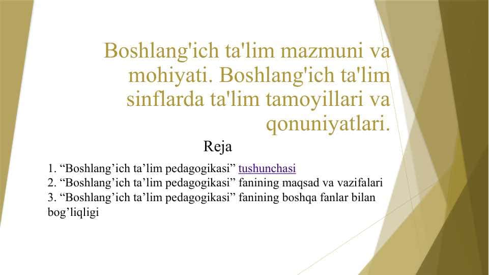 Boshlang'ich ta'lim mazmuni va mohiyati. Boshlang'ich ta'lim sinflarda ta'lim tamoyillari va qonuniyatlari. t.pptx