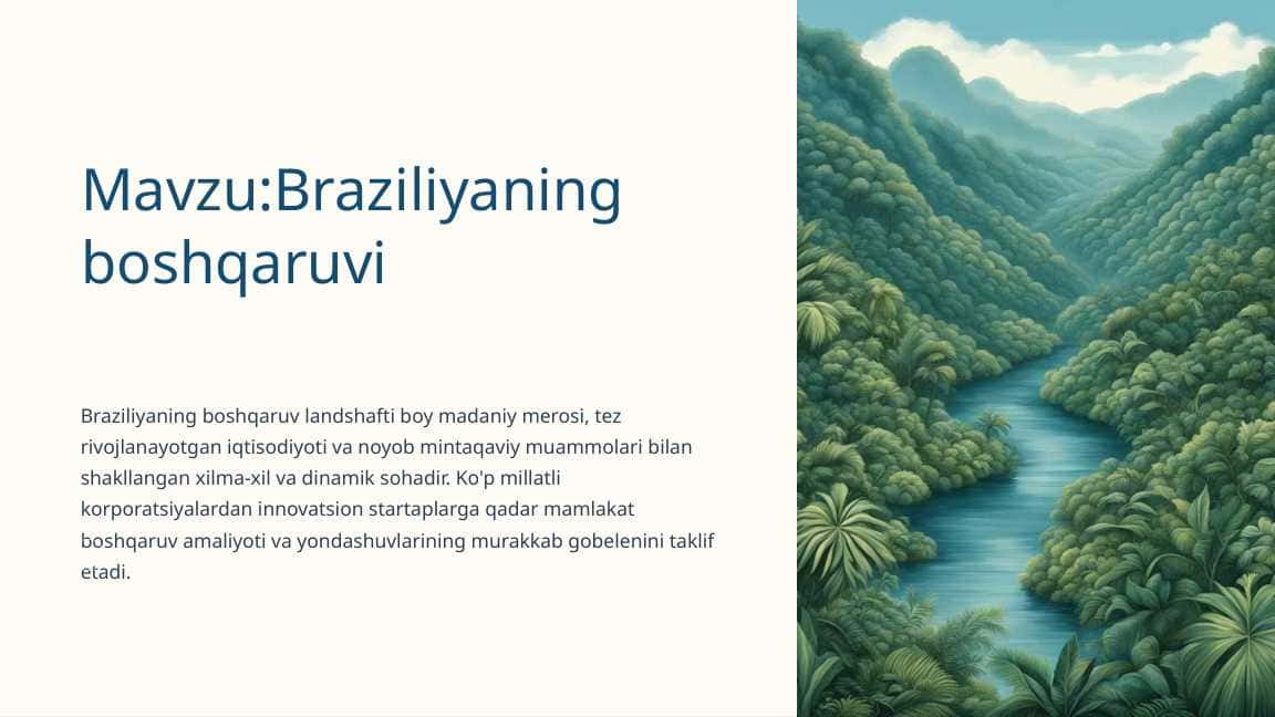 Braziliyaning boshqaruvi