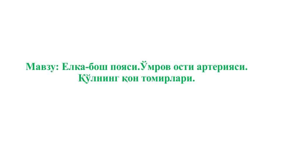Елка-бош пояси.Ўмров ости артерияси. Қўлнинг қон томирлари.