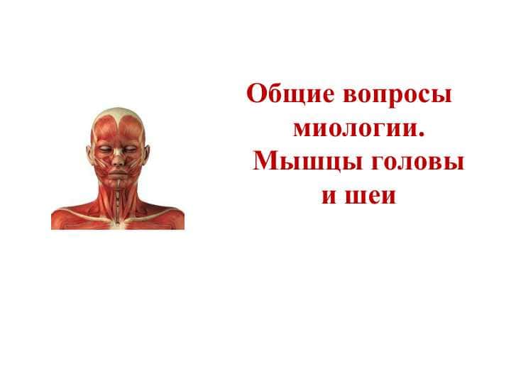 Мышцы головы и шеи Общие вопросы миологии.