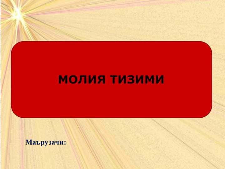 МОЛИЯ ТИЗИМИ