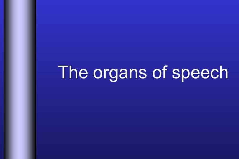 The organs of speech