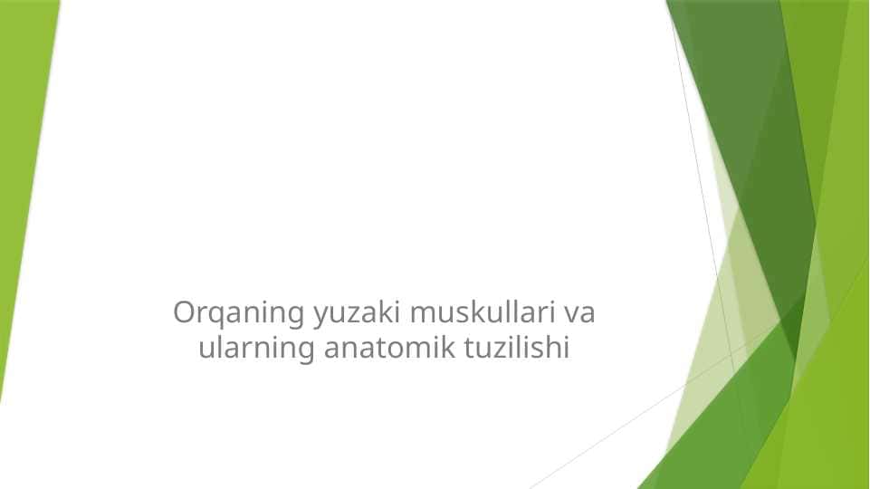 Orqaning yuzaki muskullari va ularning anatomik tuzilishi