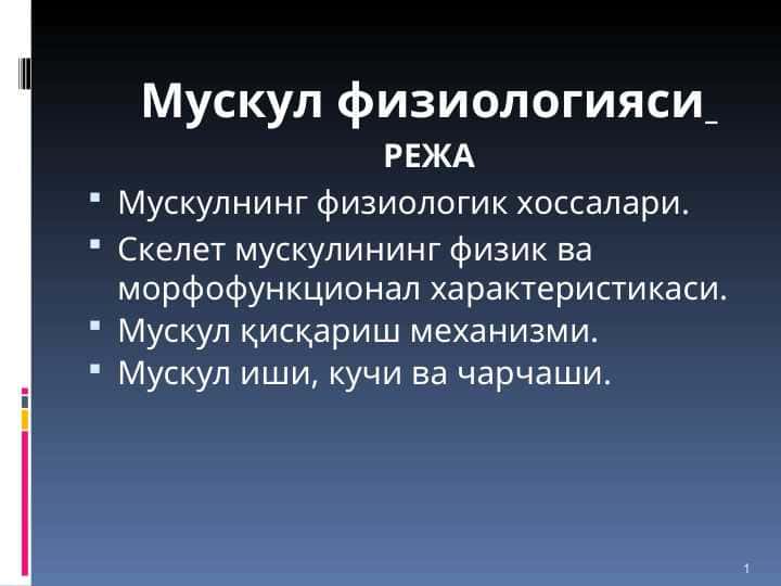 Мускул физиологияси