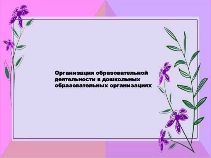 Организация образовательной деятельности в дошкольных образовательных организациях