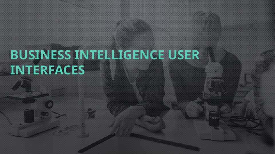 BUSINESS INTELLIGENCE USER INTERFACES