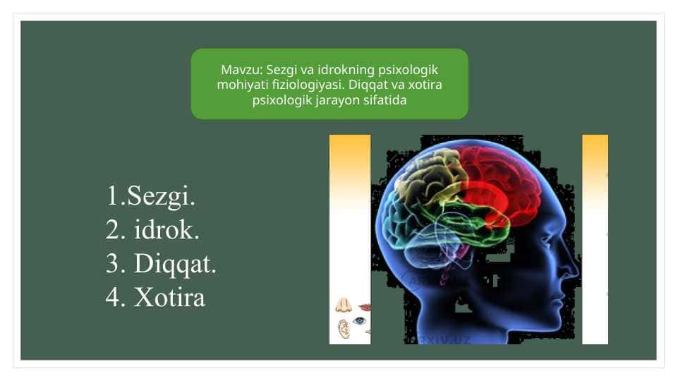 Sezgi va idrokning psixologik mohiyati fiziologiyasi. Diqqat va xotira psixologik jarayon sifatida