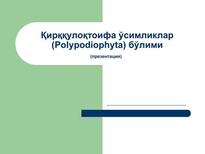 Қирққулоқтоифа ўсимликлар (Polypodiophyta) бўлими(презентация)