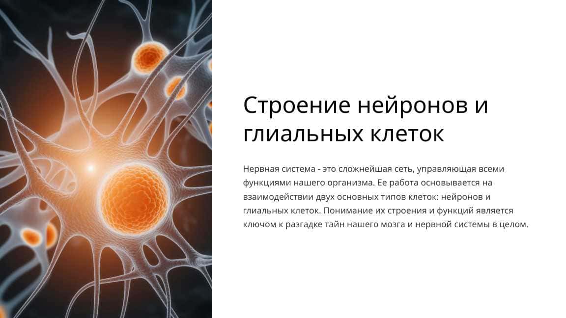 Строение нейронов и глиальных клеток