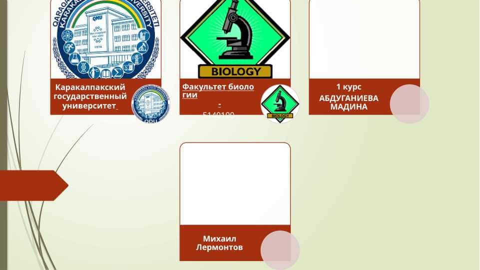 Произведения Лермонтова в других видах искусства