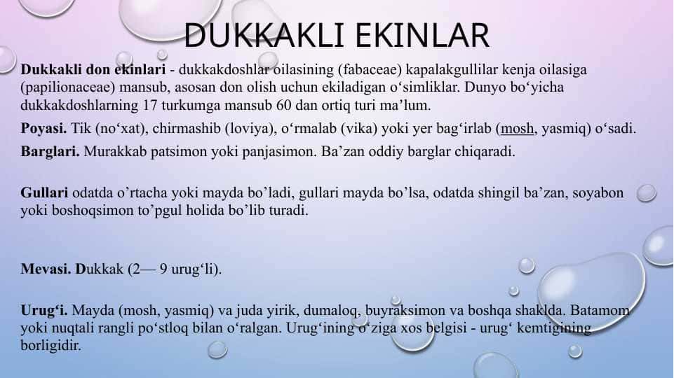 dukakli ekinlar pptx