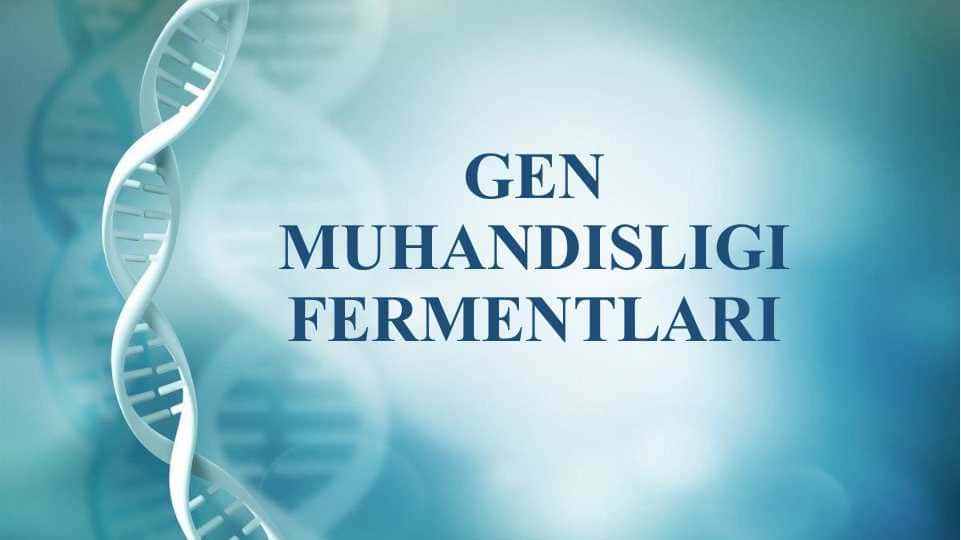 GEN MUHANDISLIGI FERMENTLARI