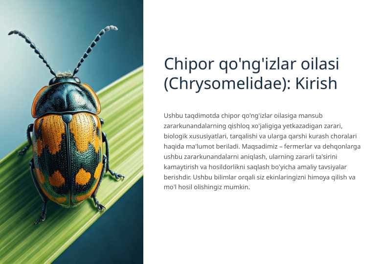 Chipor qo'ng'izlar oilasi