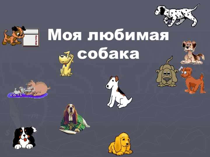 Моя любимая собакаМоя любимая собака
