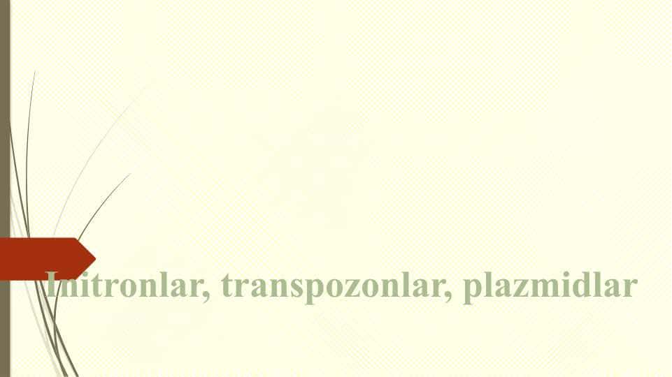Initronlar, transpozonlar, plazmidlarInitronlar, transpozonlar, plazmidlar