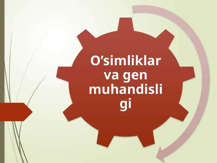 O’simliklar va gen muhandisligi