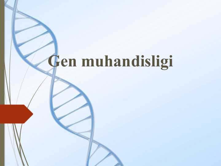 Gen muhandisligi