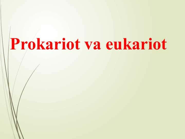 Prokariot va eukariot