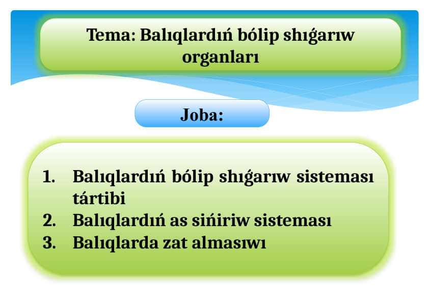 Balıqlardıń bólip shıǵarıw organları.pptx