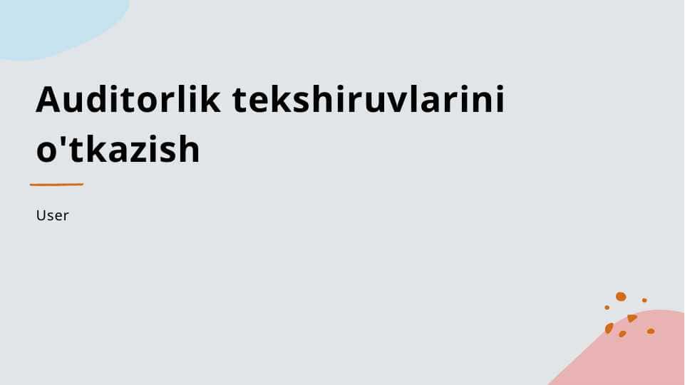 Auditorlik tekshiruvlarini o'tkazish