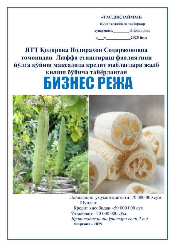 Люффа етиштириш фаолиятини йўлга қўйиш бизнес режа