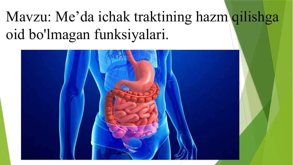 Me’da ichak traktining hazm qilishga oid bo'lmagan funksiyalari.