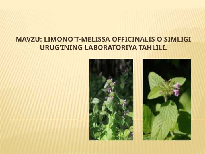 LIMONO'T-MELISSA OFFICINALIS O'SIMLIGI URUG'INING LABORATORIYA TAHLILI