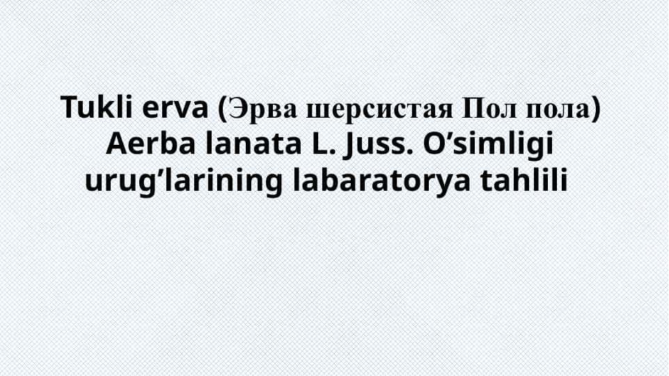 Tukli erva (Эрва шерсистая Пол пола) Aerba lanata L. Juss. O’simligi urug’larining labaratorya tahlili