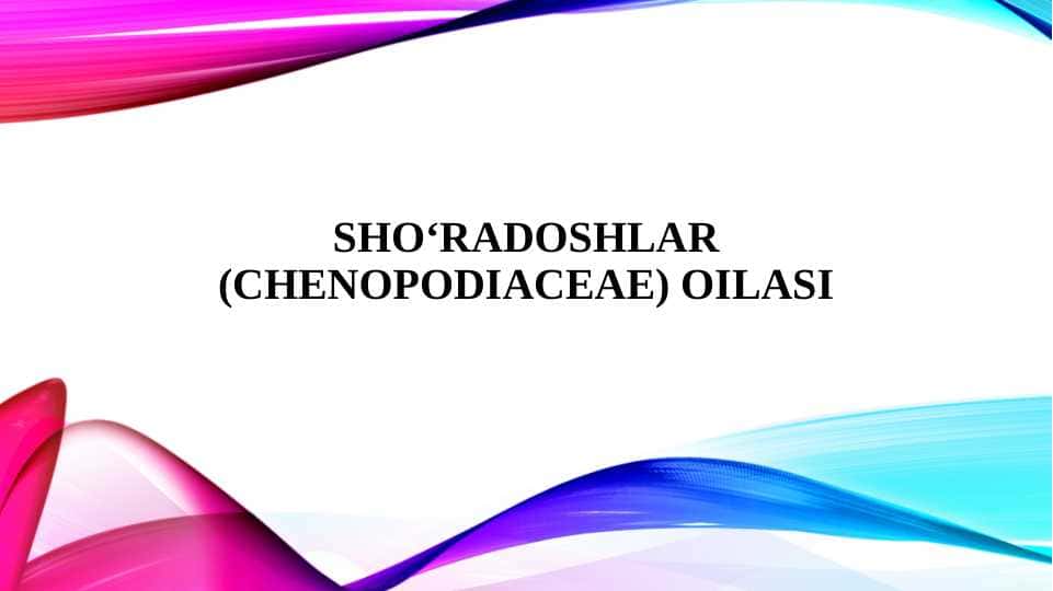 SHO‘RADOSHLAR (CHENOPODIACEAE) OILASI